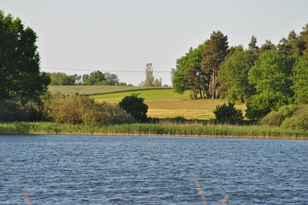Zur Scheune Landhotel
